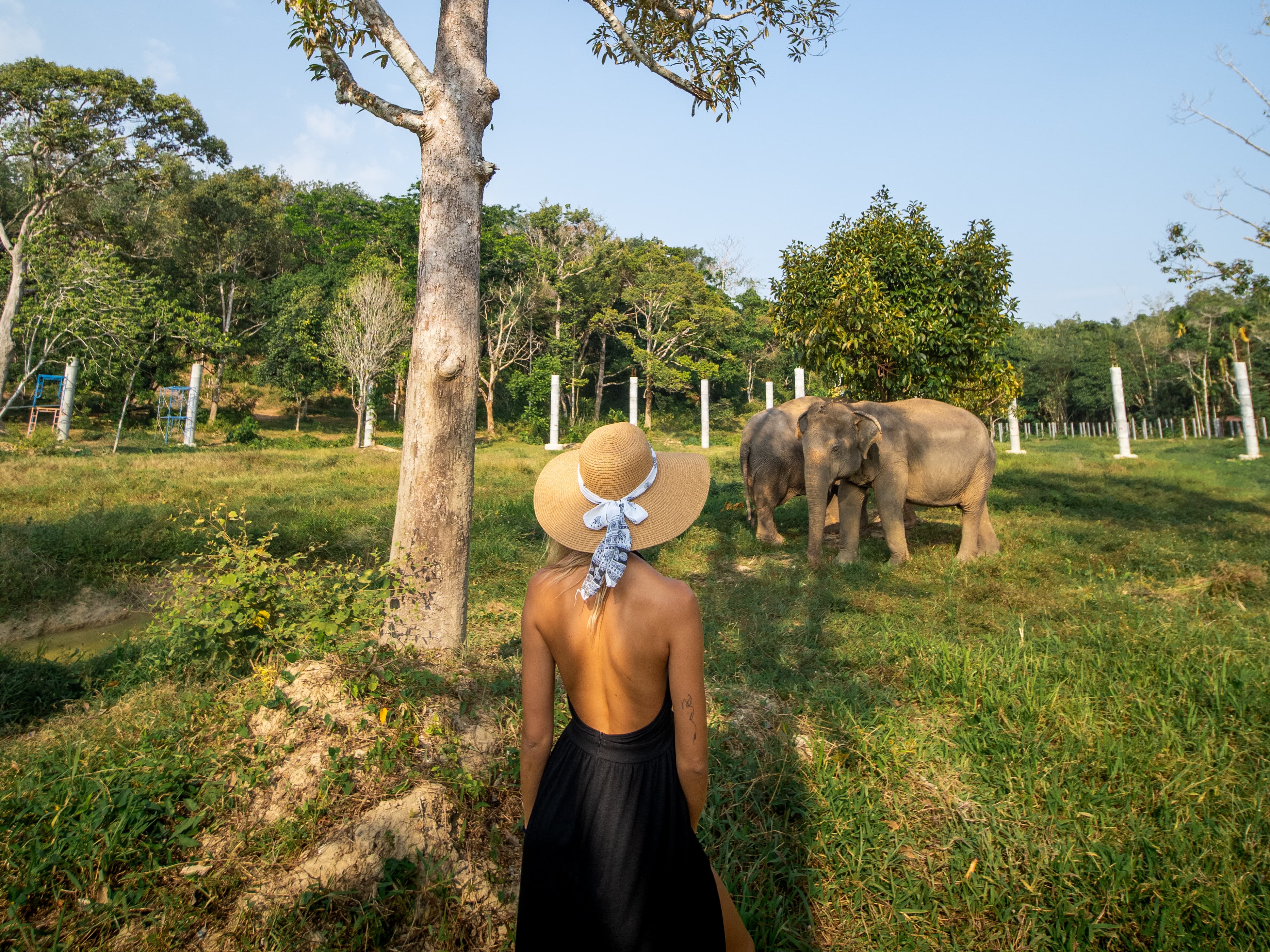 Wellbeing activities